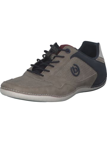 Bugatti Schnürschuhe in taupe