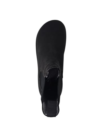 KOEL Barfußschuhe Gavien in Grau