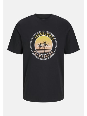 Jack & Jones T-Shirt 'Palm' 2er Pack in schwarz