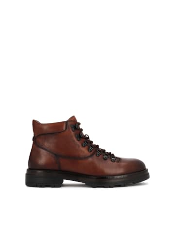 Kazar Chelsea Boots in Braun