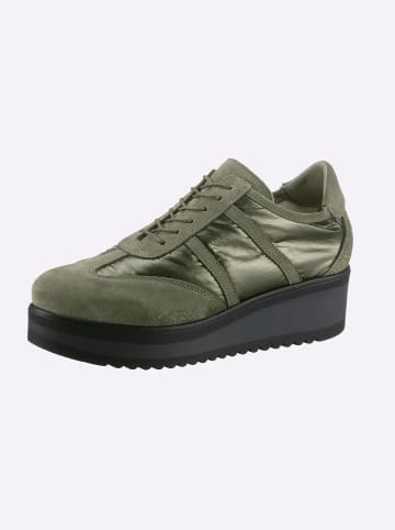 Heine Schnürer in khaki