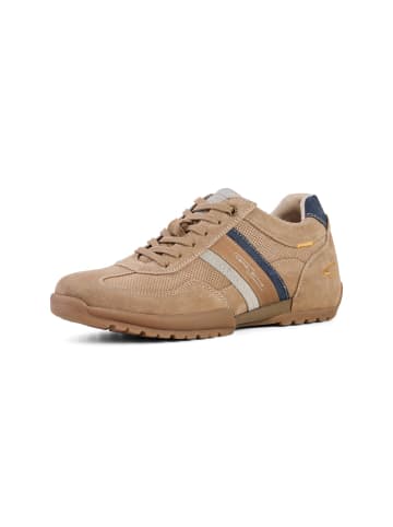 Camel Active Leder Sneaker mit klassischer Schnürung in Beige