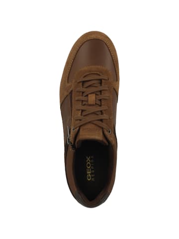 Geox Sneaker low U Renan B in braun