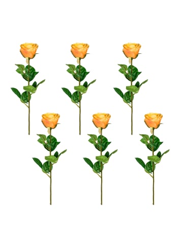 Creativ green 6er Set: Deko-Gartenrose Langstiel in apricot