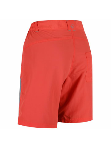 Regatta kurze Wanderhose Sungari in NeonPch/RkGr