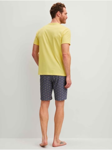 Calida Herren Pyjama kurz in Goldfinch