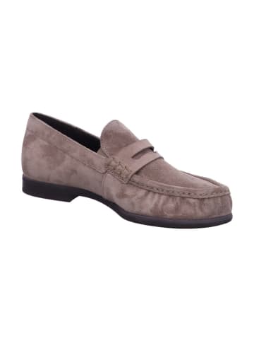 Paul Green Slipper in beige
