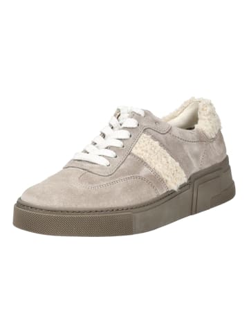 Paul Green Sneaker Stone