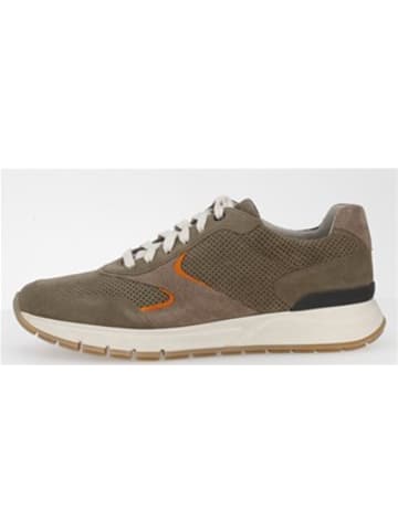 Pius Gabor Sportlicher Schnürschuh in grün