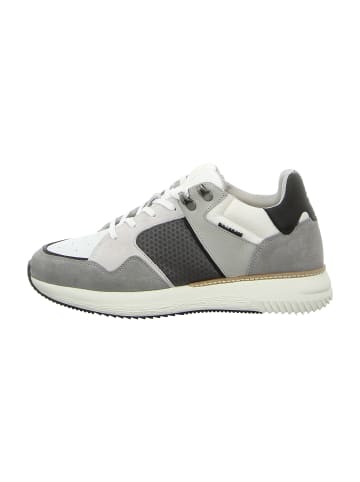 Bullboxer Sneaker Low in Grau