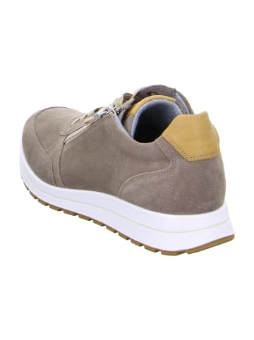 ara Sportliche Schnürschuhe in Beige