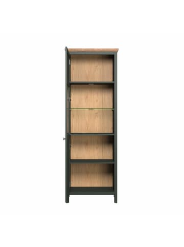 ebuy24 Vitrinenschrank Stanton Grün 69 x 39 cm