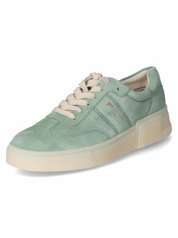 Low Sneaker in grün