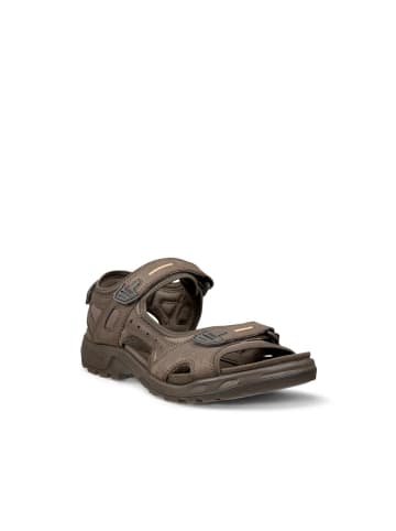 Ecco Sandale in braun