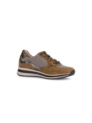 Gabor Sneaker low in multicolour