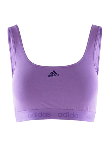 adidas Bustier CROP BRA in lila