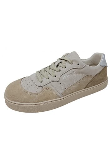 Groundies Sneaker Nova GS in Beige