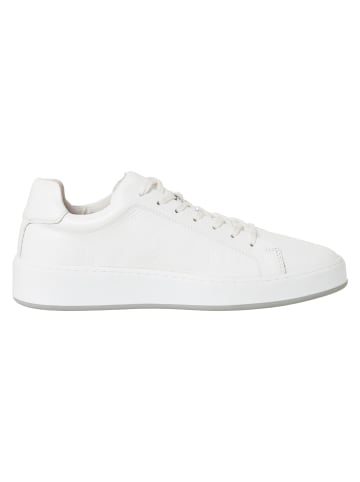 Marco Tozzi BY GUIDO MARIA KRETSCHMER Sneaker in WHITE