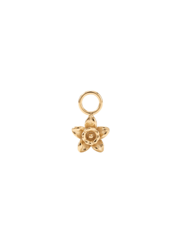 PURELEI Charm Narciss Gold