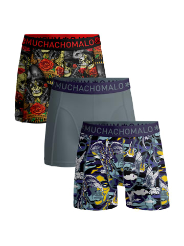 Muchachomalo 3er-Set: Boxershorts in Multicolor