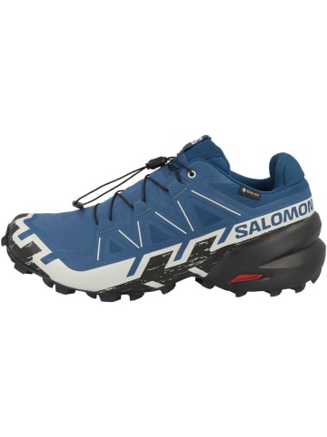SALOMON Laufschuhe Speedcross 6 GTX in blau