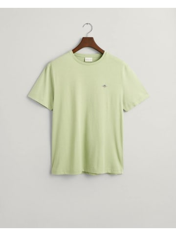 Gant T-Shirt in milky matcha