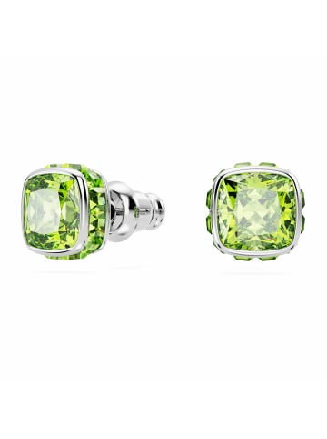 Swarovski Ohrringe in uni