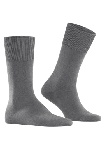 Falke Socken 1er Pack in Grau