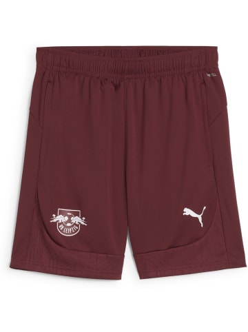 Puma Sporthose "RBL Training Shorts" in Rot