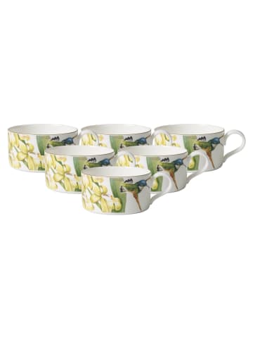 Villeroy & Boch 6er Set Teetassen Amazonia in Bunt 230 ml in bunt