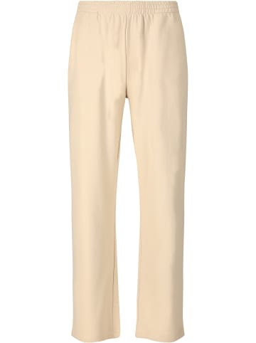 Athlecia Sweatpants Crecy in 1106 Oatmeal