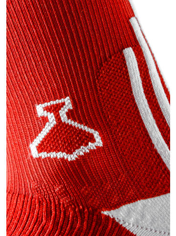 liiteGuard Socken PRO-TECH SOCK in red