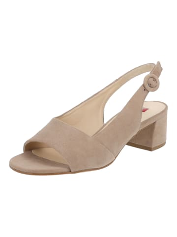 Högl Pumps in Taupe