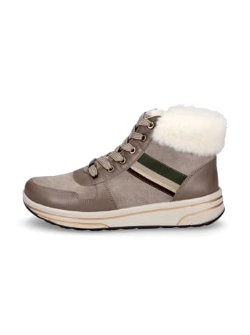 ara High-Top-Sneaker in grau beige