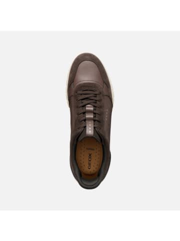 Geox Schuhe U in bunt
