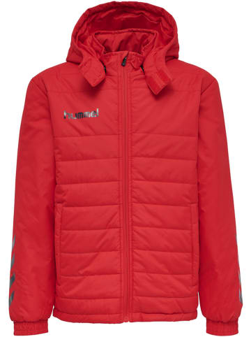 Hummel Hummel Bench Jacke Hmlpromo Multisport Kinder in TRUE RED