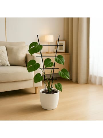 relaxdays 2 x Pflanzenstütze in Schwarz - (B)35 x (H)79 cm