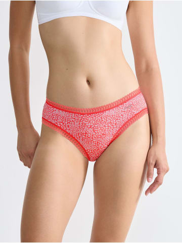 Sloggi Hipster GO Crush Hipster in MULTIPLE COLOURS 15
