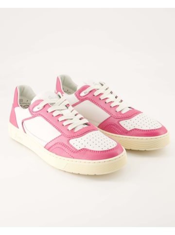 Sioux Sneaker low in Rosa