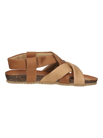 Igi&Co Sandalen in Cognac