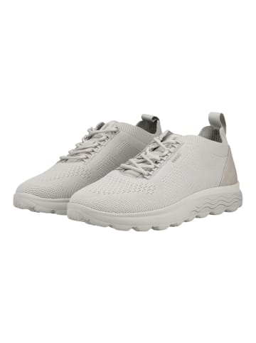 Geox Sneaker Hellgrau
