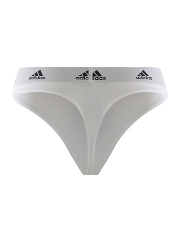 adidas Tanga Realasting Cotton in Weiß