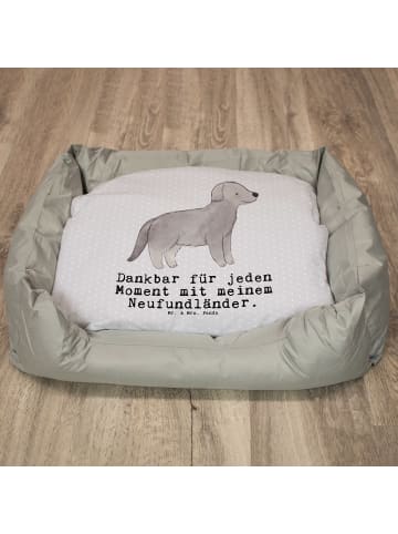 Mr. & Mrs. Panda Hundesofa Neufundländer Moment mit Spruch in Grau Pastell