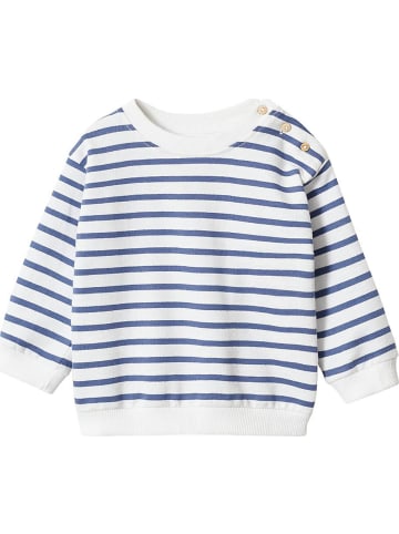 Mango Baby Sweatshirt
