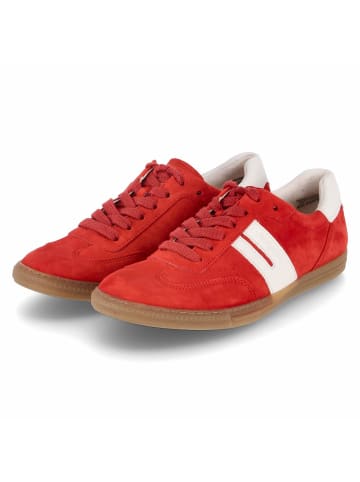 Paul Green Schnürhalbschuh in rot