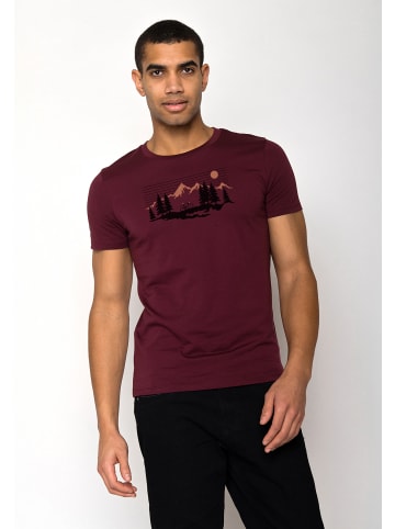 GreenBomb Guide Bike Mountain Pines in Samt Regen