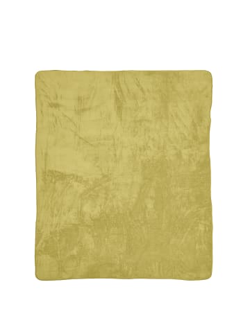 Cats Collection Wohndecke Softie in gold