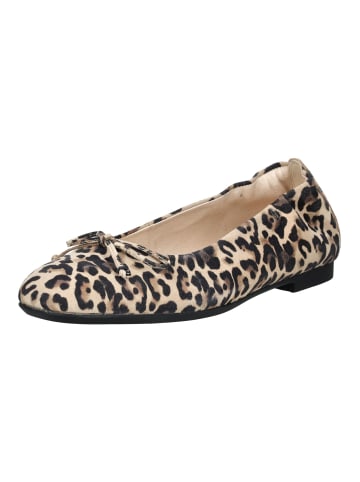 Gabor Ballerinas in Leopard