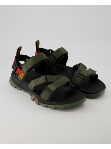 Timberland Sandalen & Pantoletten in Grün