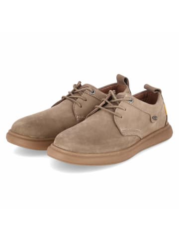 Camel Active Schnürhalbschuh in taupe